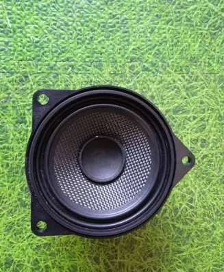 Front door high frequency speaker