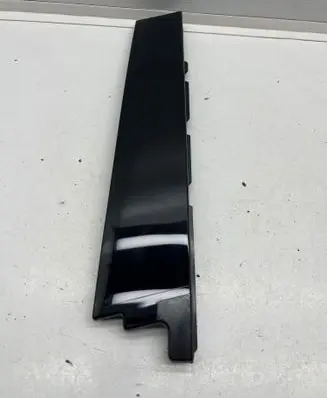 Rear door trim (molding)