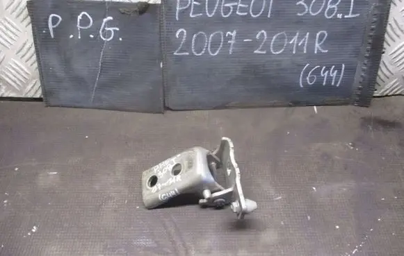 Peugeot 308 Front door lower hinge 