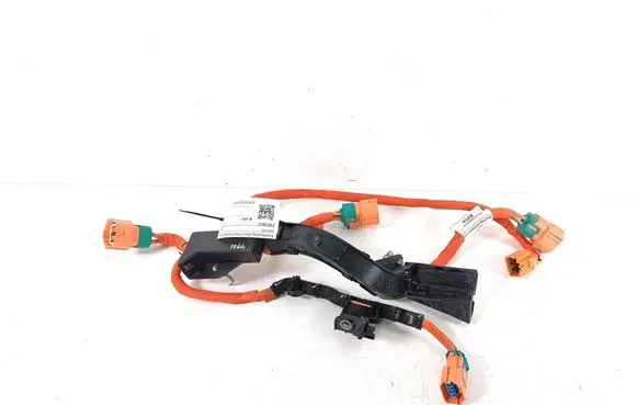 Other wiring loom