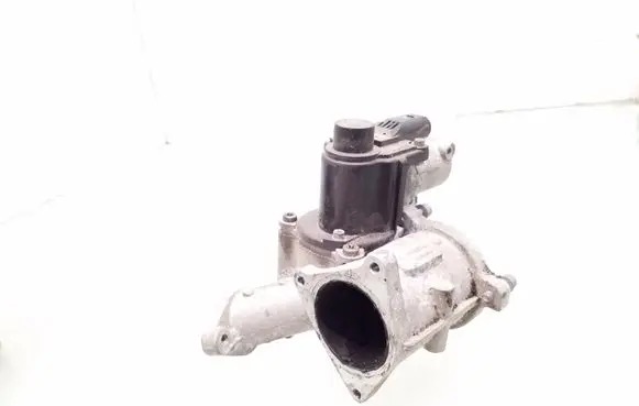EGR valve