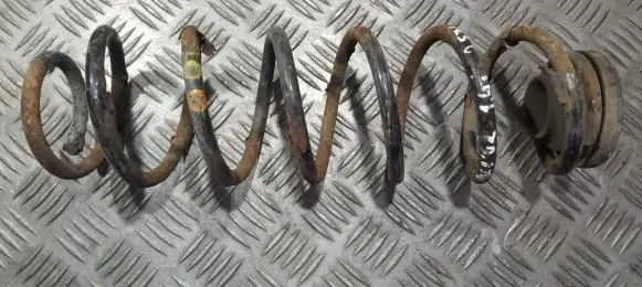 Skoda Fabia Mk1 (6Y) Rear coil spring