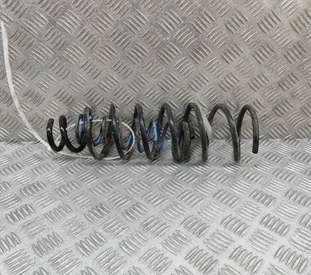Front coil spring