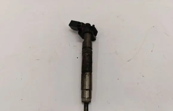 Mercedes-Benz R W251 Fuel injector A6420701387
