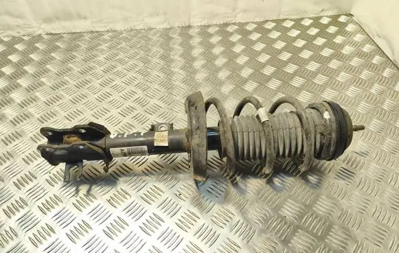 Opel Corsa E Front shock absorber with coil spring 22283525