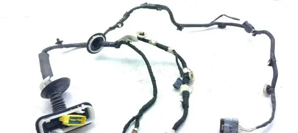 Front door wiring loom