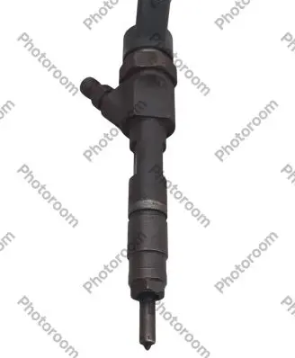 Renault Megane II Fuel injector 0445110110B 8200100272 ARZ5GK