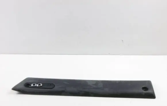 Front door trim (molding)