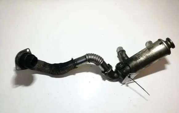 Ford Focus EGR valve cooler