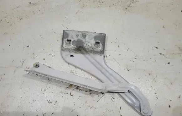 Jaguar F-Pace Engine bonnet/hood hinges LHHK8316800