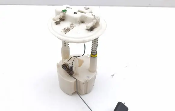 Nissan Juke I F15 In-tank fuel pump 0975167990005 170409U21C