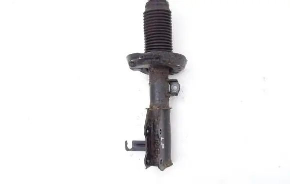 Opel Insignia A Front shock absorber/damper 13475852