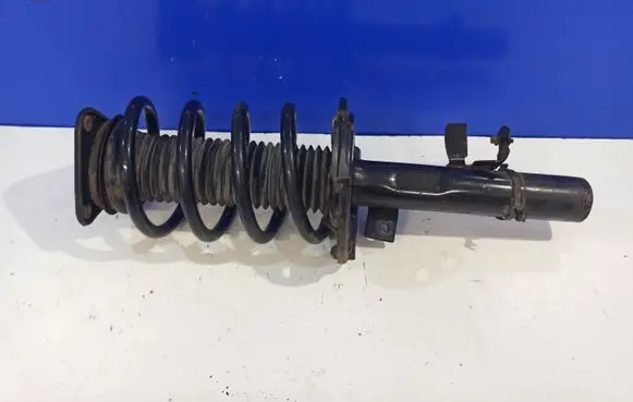 Ford Transit - Tourneo Connect Front shock absorber/damper DV6118045LE