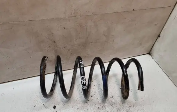 Rear coil spring