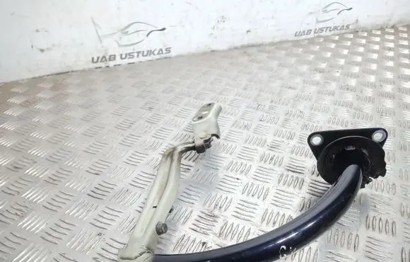 Volkswagen PASSAT B7 Tailgate/trunk/boot hinge 3C5827301B