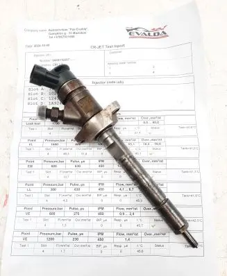 Citroen C5 Fuel injector 0445110297