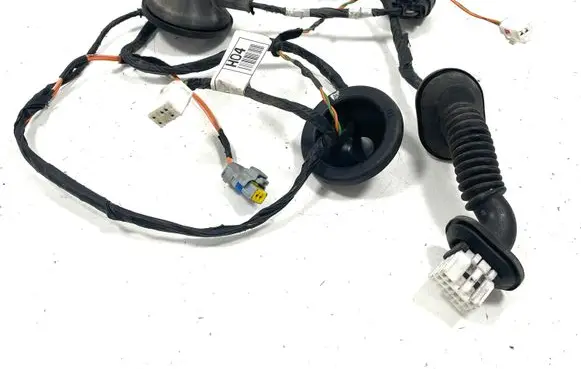 Rear door wiring loom