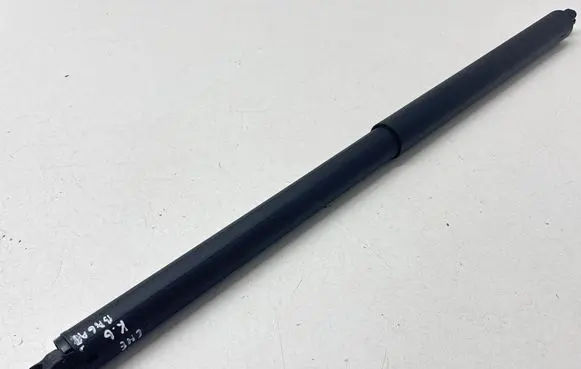 Tailgate/trunk strut/damper
