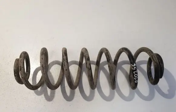Rear coil spring