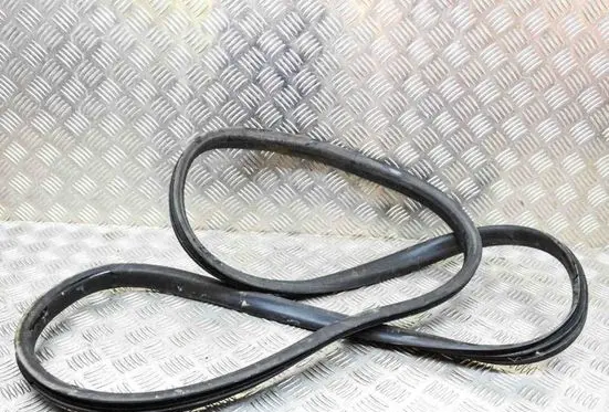Renault Zoe Rubber seal rear door 