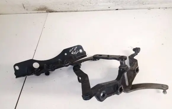 Mercedes-Benz S W221 Engine bonnet/hood hinges a2218800428
