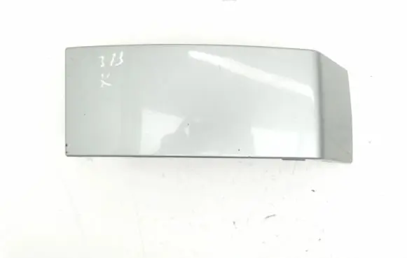 Rear/tail light trim molding