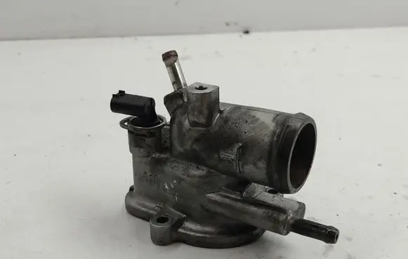 Thermostat/thermostat housing