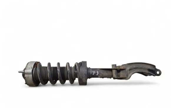 Porsche Cayenne (92A) Front shock absorber with coil spring 95834304311
