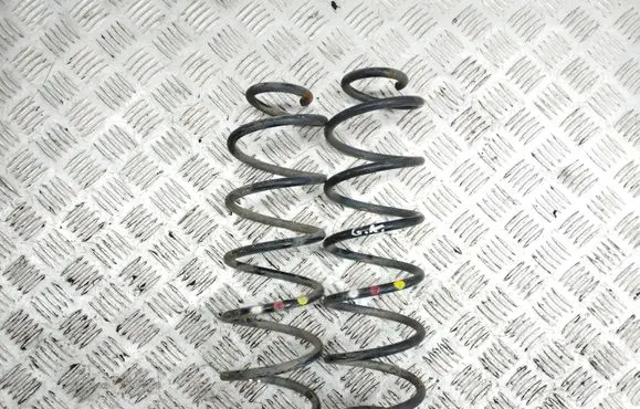 Citroen C4 Cactus Rear coil spring