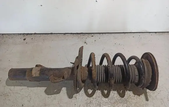 Ford S-MAX Front shock absorber with coil spring