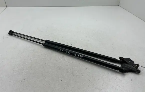 Tailgate/trunk strut/damper