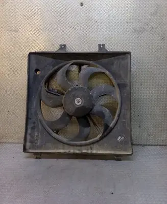 KIA Carnival Electric radiator cooling fan 253804DXXX A005318