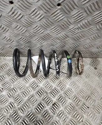 Rear coil spring