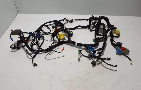 Citroen C4 III e-C4 Panel wiring 9842589880