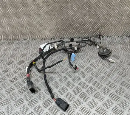 Tesla Model Y Other wiring loom 248905004C