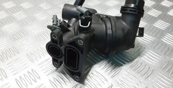 Thermostat/thermostat housing