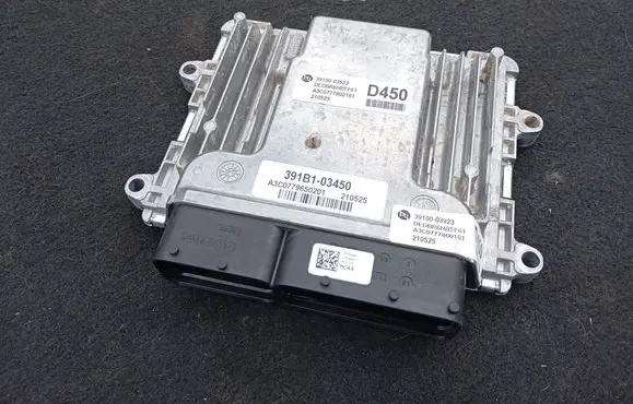 KIA Niro Engine control unit/module 3910003923 391B103450