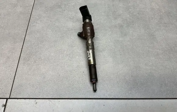 Nissan Juke I F15 Fuel injector H8201100113 166006212R