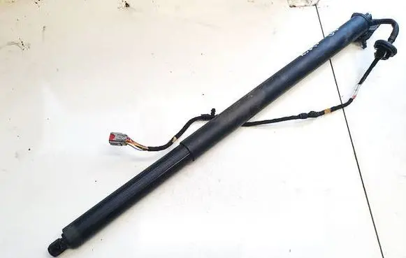 Tailgate/trunk strut/damper