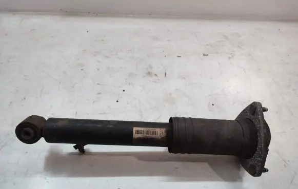 BMW X5 E70 Rear shock absorber/damper 6781931