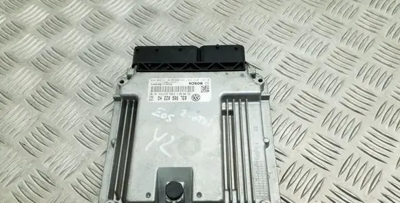 Engine control unit/module ECU