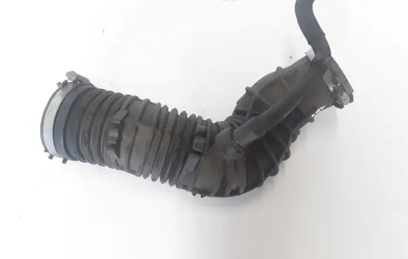 Renault Latitude (L70) Coolant pipe/hose 165765844R