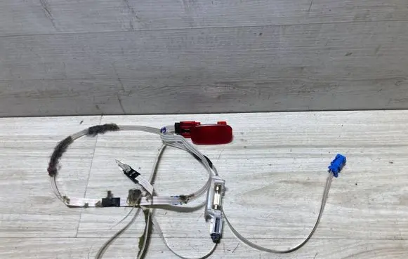 Mercedes-Benz CLS C219 Rear door wiring loom A2195404305