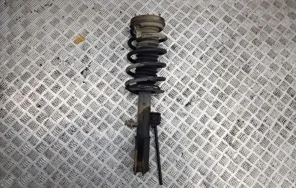 BMW X5 E53 Front shock absorber/damper 1096272