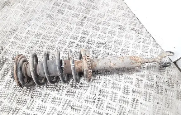 Front shock absorber with coil spring