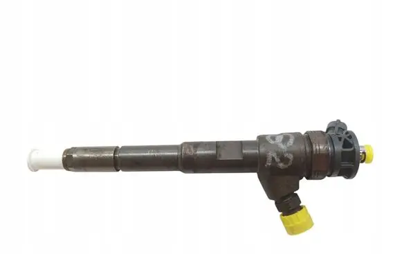 Dacia Dokker Fuel injector H8201108033