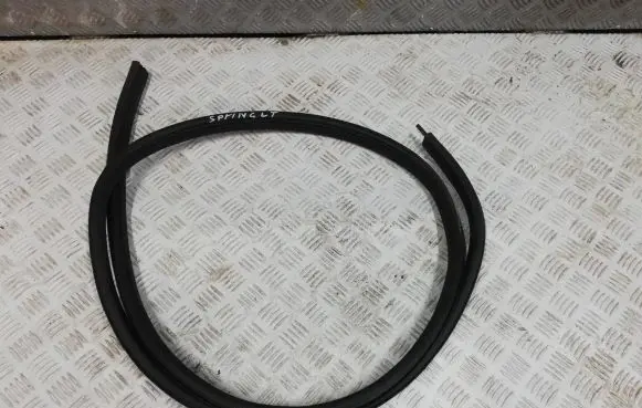 Dacia Spring Rubber seal rear door 