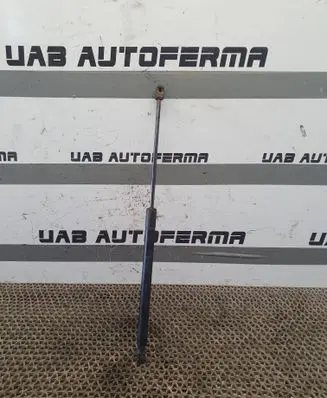 Nissan Murano Z51 Tailgate/trunk strut/damper 9732XC0550N 904511AB0A