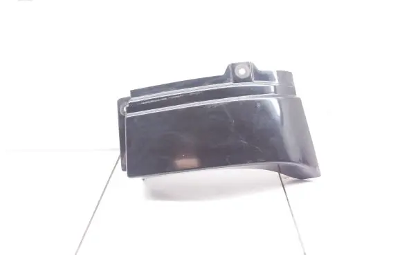 Rear/tail light trim molding