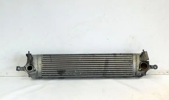 Renault Koleos I Intercooler radiator 14461-JG70B 193587